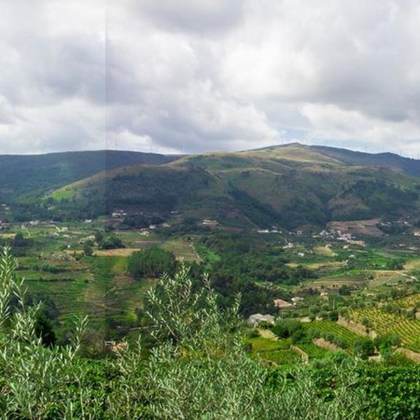 Cover photo