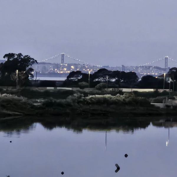 Cover photo
