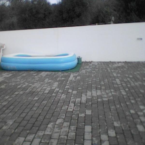 Cover photo