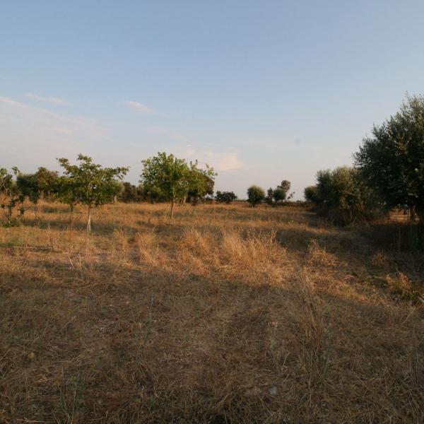 Cover photo