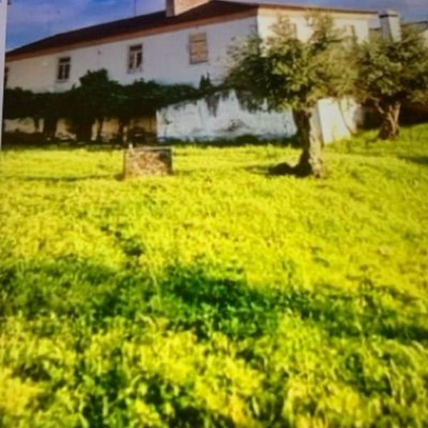 Cover photo