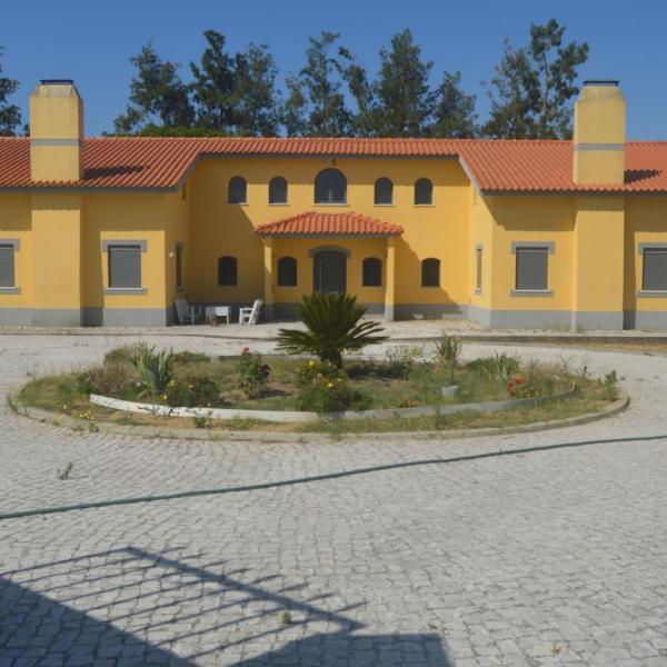 Cover photo