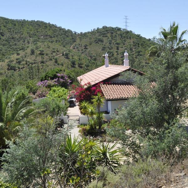 Cover photo