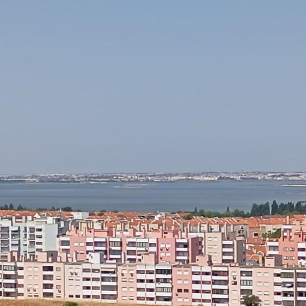 Cover photo