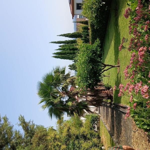 Cover photo