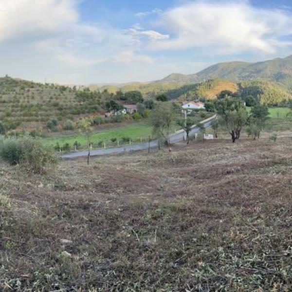 Cover photo