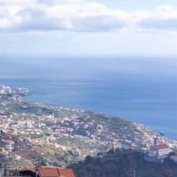 Cover photo