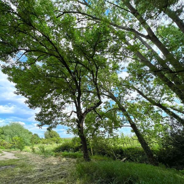 Cover photo